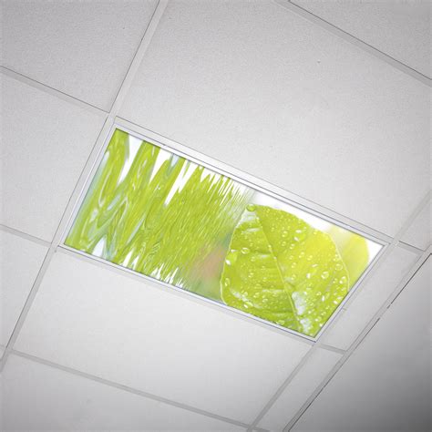 Octo Lights - Fluorescent Light Covers - 2x4 Flexible Ceiling Light Filters - For Classrooms and ...