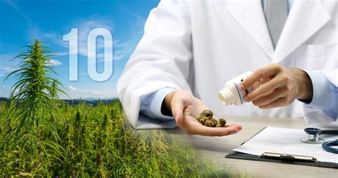 10 Hitos En La Historia Del Cannabis Medicinal