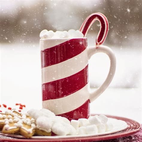 Homemade Marshmallows With Maple Syrup