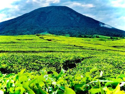 Gunung Dempo Kota Pagar Alam Mengeluarkan Abu Vulkanik Barometer