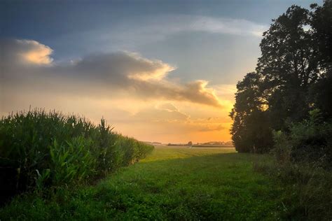 Sunset Cornfield Field - Free photo on Pixabay - Pixabay