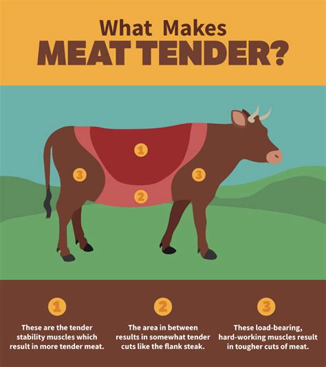 Beef Cuts Tenderness Chart A Visual Reference Of Charts Chart Master