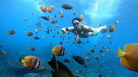 PACKAGE C FUN DAY SNORKELING TRIP WITH TWO SPOT AND NUSA LEMBONGAN