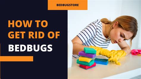 How To Remove Bedbugs From Home Bedbugstore Bedbug Store Page