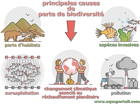 Biodiversité définition et explications