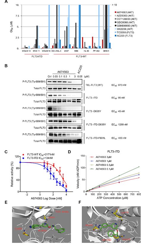 Figure 1 From Dual Inhibition Of AKT FLT3 ITD By A674563 Overcomes FLT3