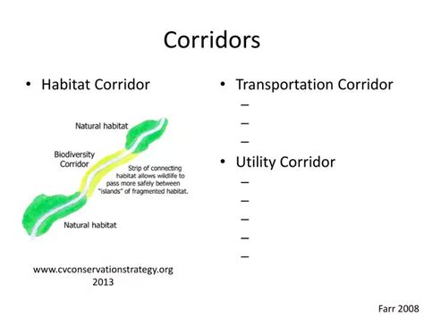 PPT - Corridors PowerPoint Presentation, free download - ID:6749391