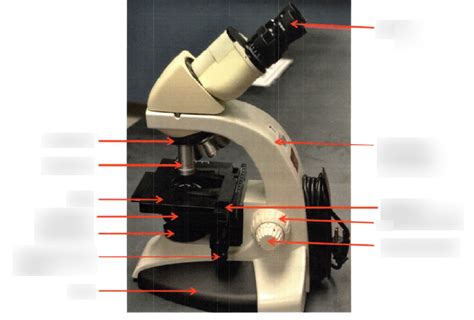 Lab Practical Microscope Diagram Quizlet