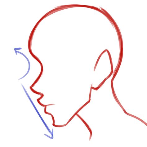 draw  side profile face