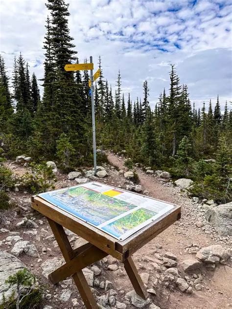 Blackcomb Hiking Trails in Whistler (By a Season's Pass Holder)