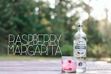 Skinny Raspberry Margarita Recipe With 100 Blue Agave Tequila — Mallorie Owens