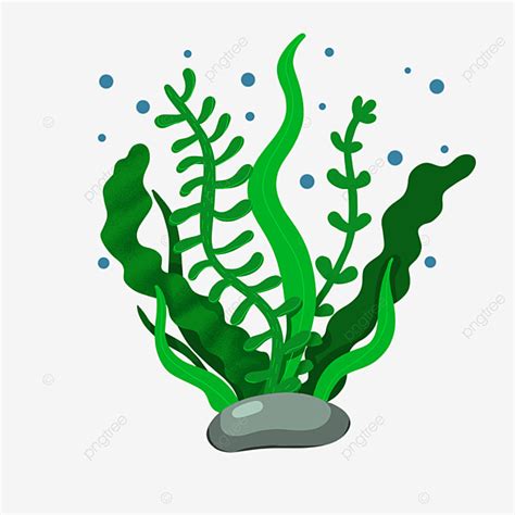 Submarino Diverso Alga Marina Clipart Png Dibujos Im Genes