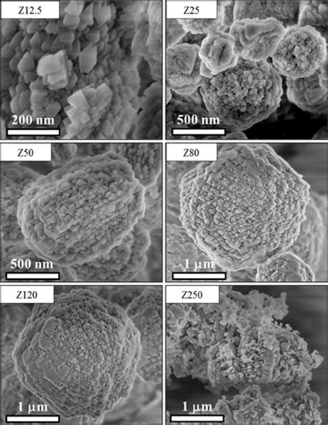 Sem Micrographs Of The Conventional Zeolites Synthesized Using