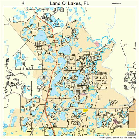 Land O' Lakes Florida Street Map 1239200