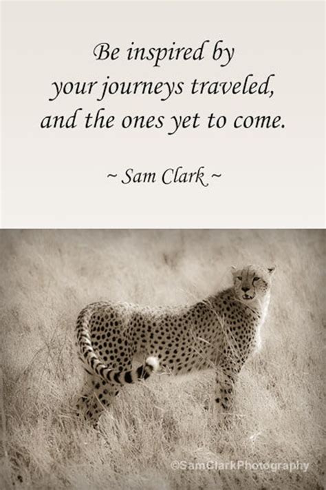 Inspirational Quotes With Pictures Of Cheetah. QuotesGram