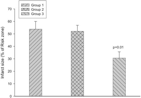 Infarct Size Is Expressed As Percentage Of The Risk Zone The Infarct