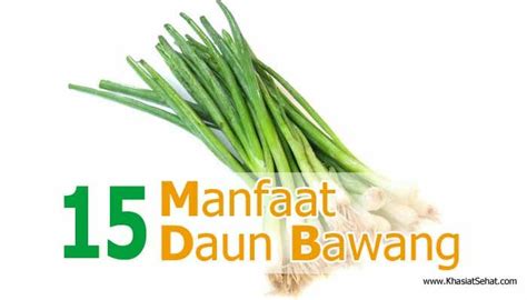 15 Manfaat Daun Bawang Untuk Kesehatan Khasiat Sehat