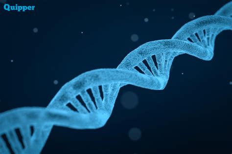 Perdalam Materi Genetik DNA Dan RNA Kalian Di Sini Yuk