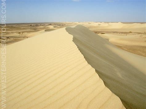 In and around Bahariya Oasis | Western Desert Tours