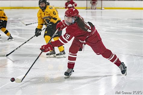 Hockey Playoffs York Lions Vs Waterloo Warriors Flickr