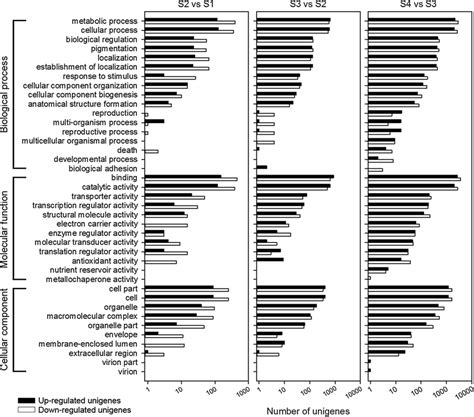 Functional Gene Ontology Go Classification Of Differentially