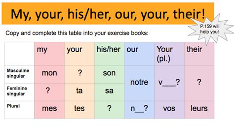 Tricolore 1 Unit 8 Possessive Pronouns Diagram Quizlet