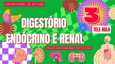 Ciências Morfofuncionais Dos Sistemas Digestório Endócrino E Renal