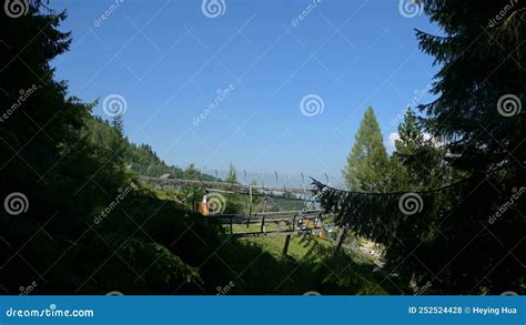 Summer Toboggan Alpine Coaster in Switzerland. Time Lapse Stock Footage ...