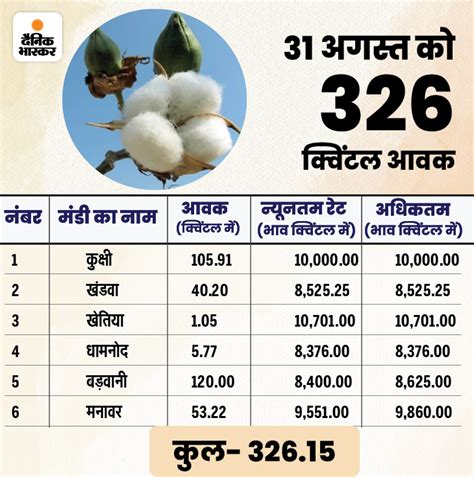 Madhya Pradesh Cotton Production Report 2022 Experts On Cotton Rate Mp में कपास का बंपर