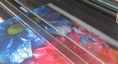 Large Format Printing Admiral Wholesale Signs