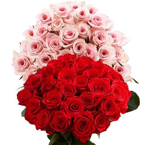 Next Day Delivery Valentine's Day Rose Delivery | GlobalRose