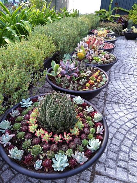 59 Catchy Outdoor Succulent Garden Ideas DigsDigs