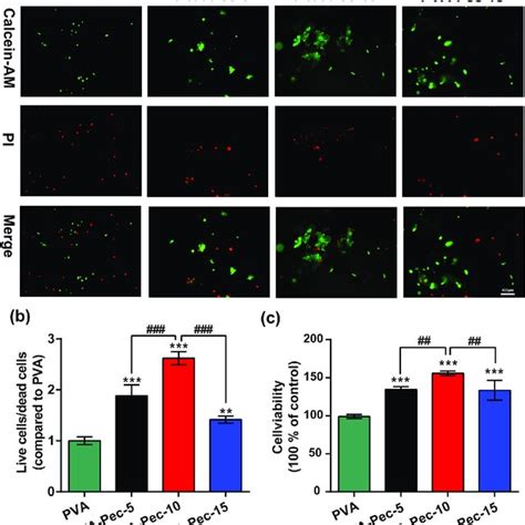 Viability Of Osteoblasts Cultured On Different Hydrogels A Live Dead