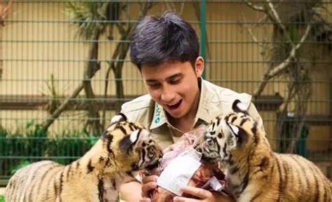 Kematian Cenora Anak Harimau Milik Alshad Ahmad Jadi Sorotan Berikut