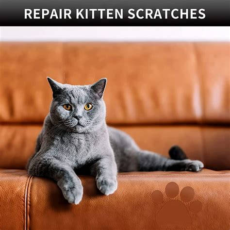 Leather Sofa Repair Kit For Cat Scratches Baci Living Room