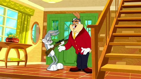 Image 785022  The Looney Tunes Show Wiki Fandom Powered By Wikia