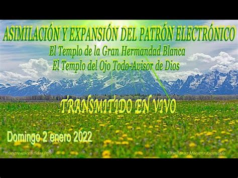 SERVICIO ASIMILACIÓN Y EXPANSIÓN DEL PATRÓN ELECTRÓNICO YouTube