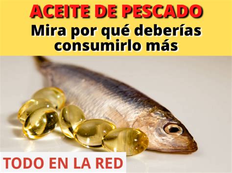 Todo Lo Que Debes Saber Sobre El Aceite De Pescado Todo En La Red