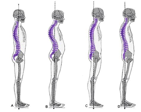 alignment based yoga zoe yoga lifestyle