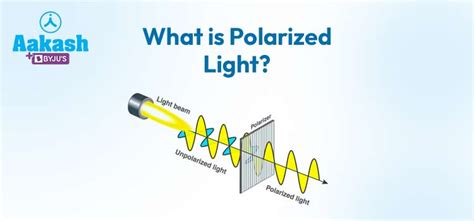 What Is Polarized Light