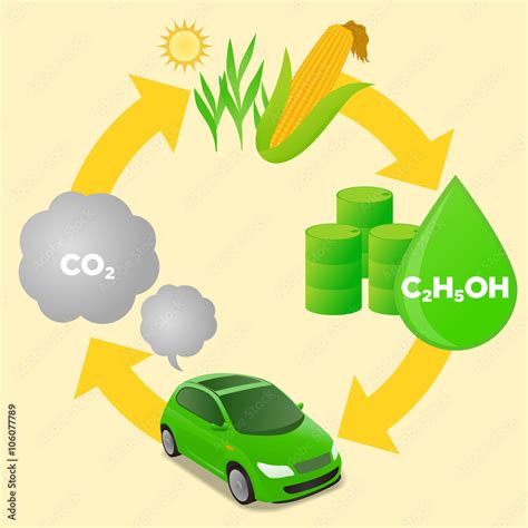 Biofuel Life Cycle Biomass Ethanol Diagram Illustration Stock Vector