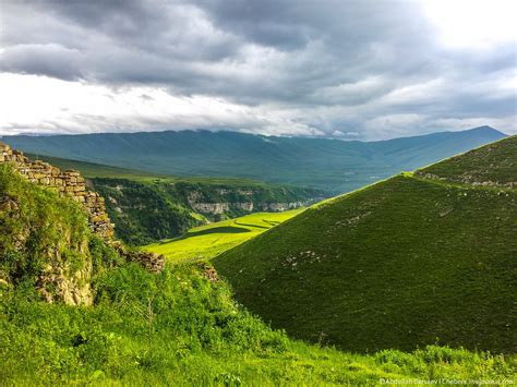 fromgrozny