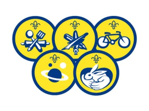 Beavers 6 To 8 Years Harlow And District Scouts