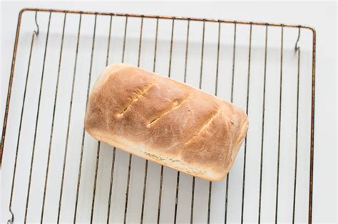 Basic Bread Recipe For Beginners