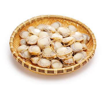 Industrial Cutting Applications For Scallops - Urschel Laboratories