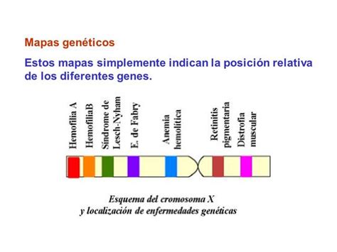 Principales Acontecimientos En Torno A Los Descubrimientos Sobre El Adn