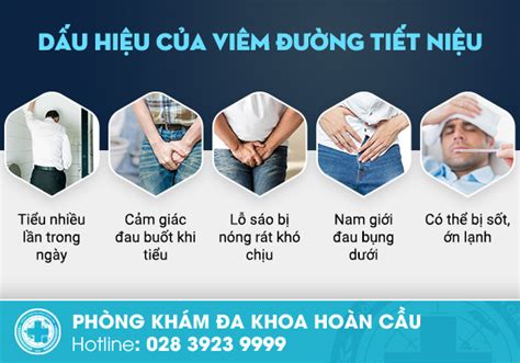 Triệu chứng viêm đường tiết niệu ở nam giới và những tác hại cần điều trị