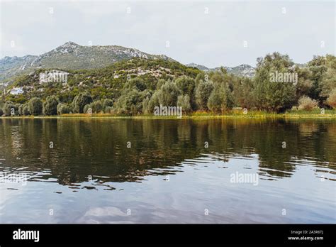 Naturaleza Vistas Del Parque Nacional Del Lago Skadar En Montenegro