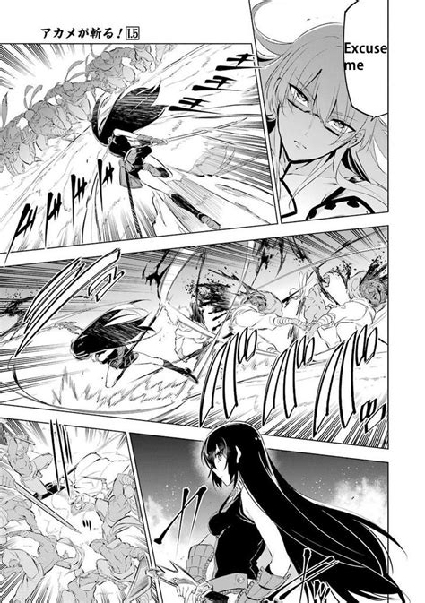 Mine akame ga kill manga panel - hetyweekend