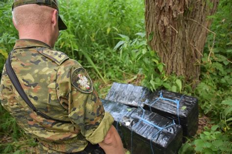 Przemytnik Zatrzymany Na Gor Cym Uczynku W Lasach Sobiborskich